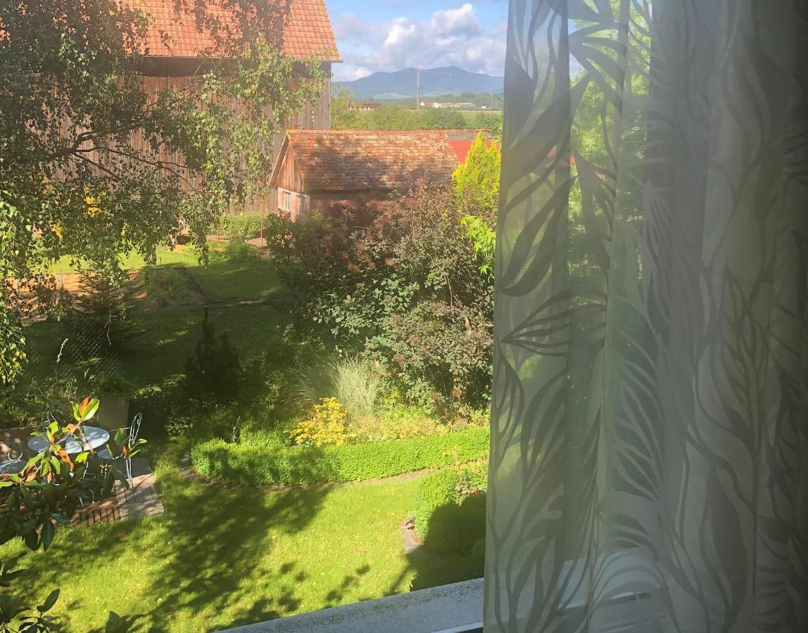 Au Relais De L'Ill Hotel Sermersheim Buitenkant foto